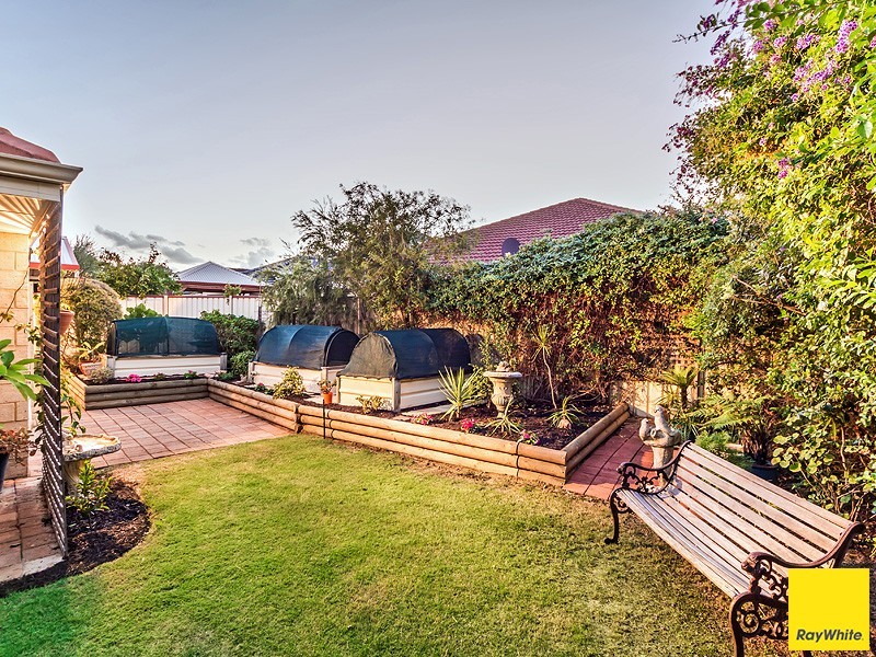 29 Lomandra Drive, Canning Vale WA 6155
