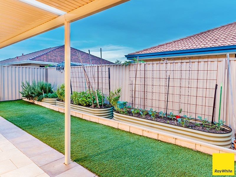 11 Tenterfield Green, Harrisdale WA 6112