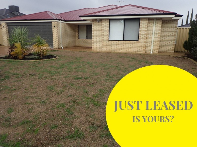 7 Seddon Way, Canning Vale WA 6155