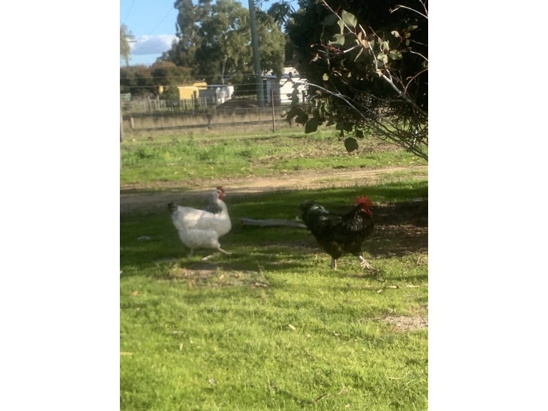 2/736 Rowley Road, Oakford WA 6121