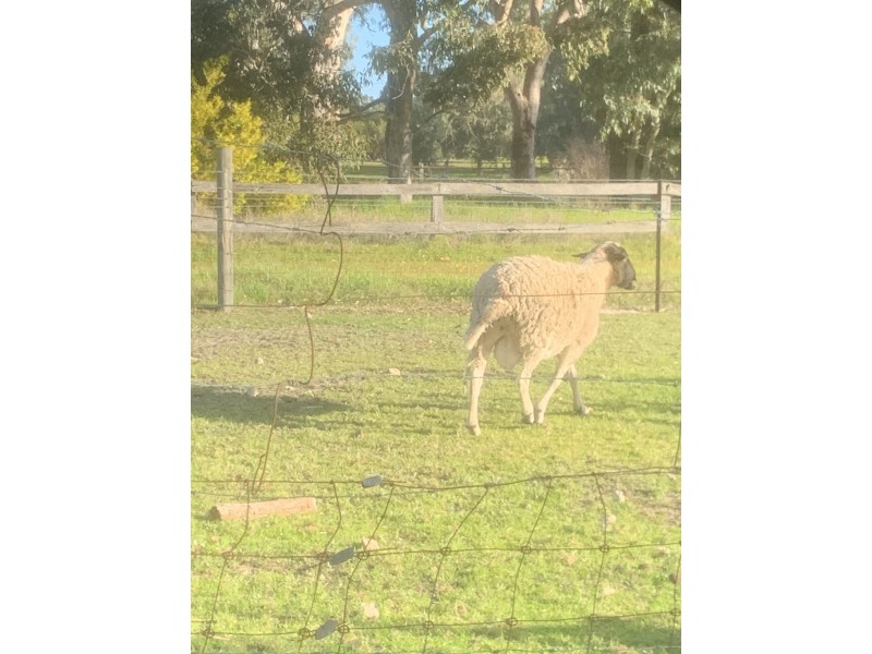 2/736 Rowley Road, Oakford WA 6121