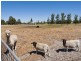 61 Cavanagh Close, Cardup WA 6122