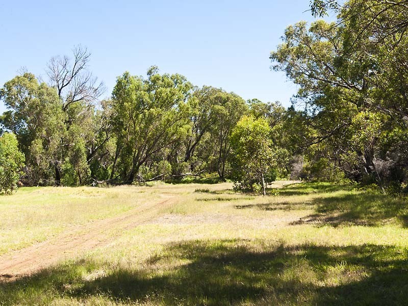 31 Armstrong Road, Kelmscott WA 6111
