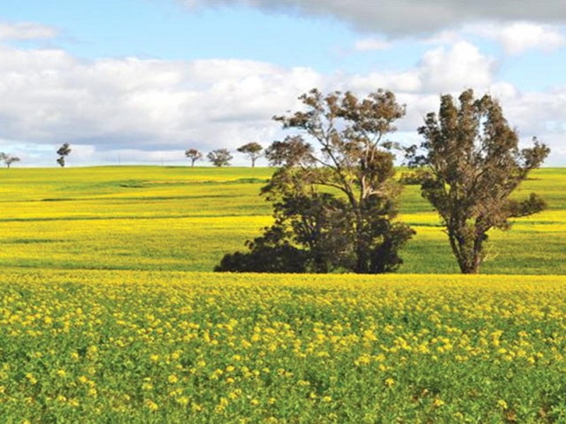 Lot 301 Tie Line Road, Broomehill WA 6318