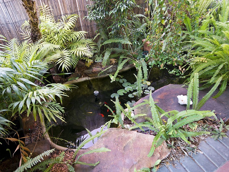 18 Tincurrin Drive, Southern River WA 6110