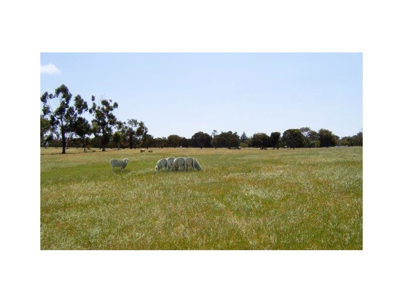 Lot 101 Soldier Road, Kojonup WA 6395
