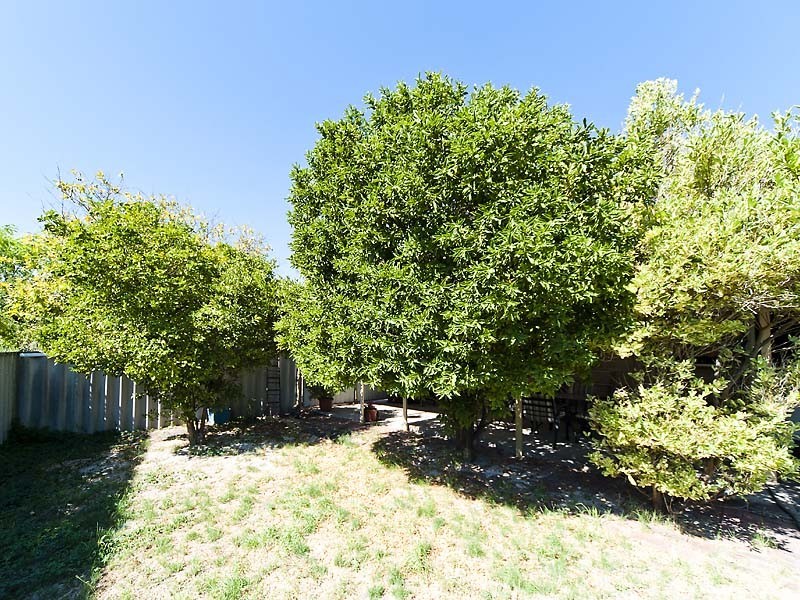 21 Mereworth Road, Thornlie WA 6108