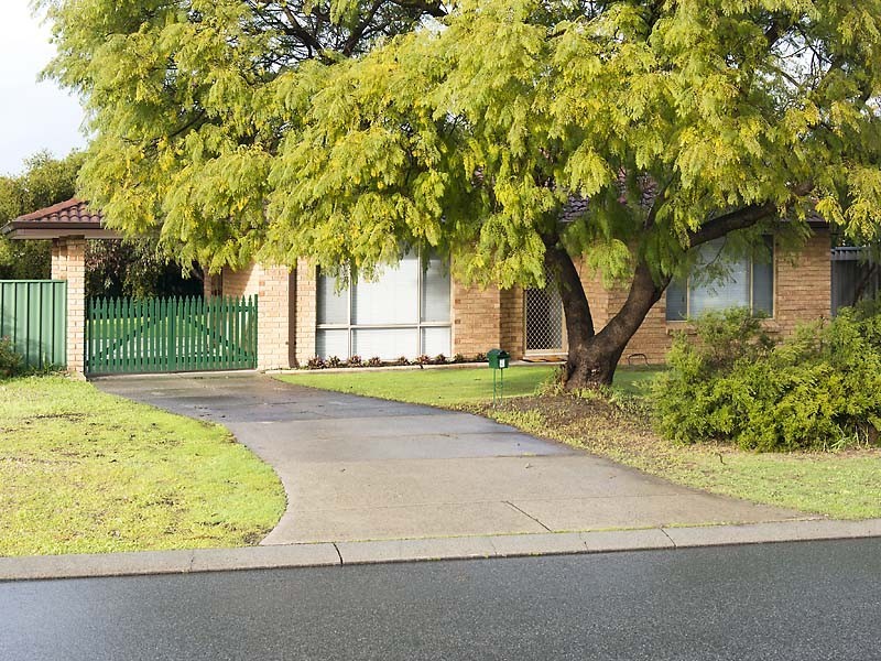 9 Windmill Drive, Bibra Lake WA 6163