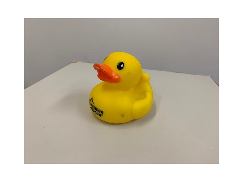 19 Young Lane, Parkwood WA 6147