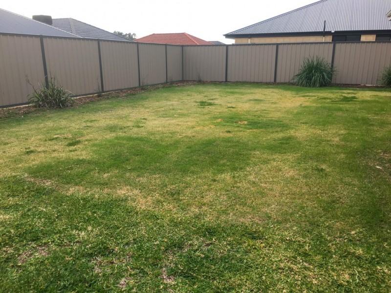12 Evans Way, Byford WA 6122