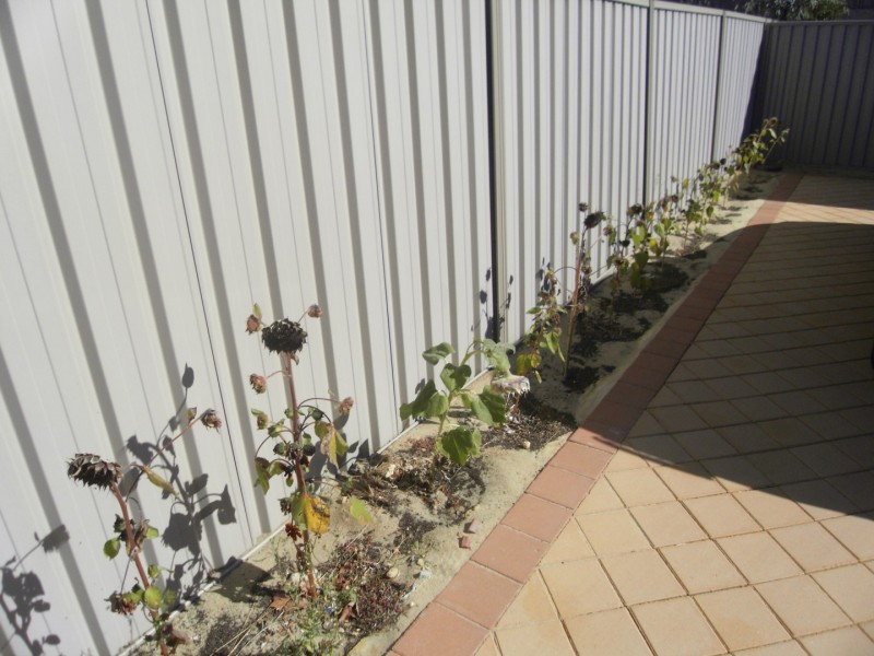 22A Randwick Bend, Harrisdale WA 6112