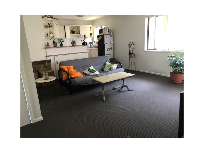 13 Armrick Avenue, Broadbeach QLD 4218