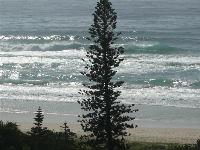 Unit 805 Surfers Century, 5 Enderley Avenue, Surfers Paradise QLD 4217