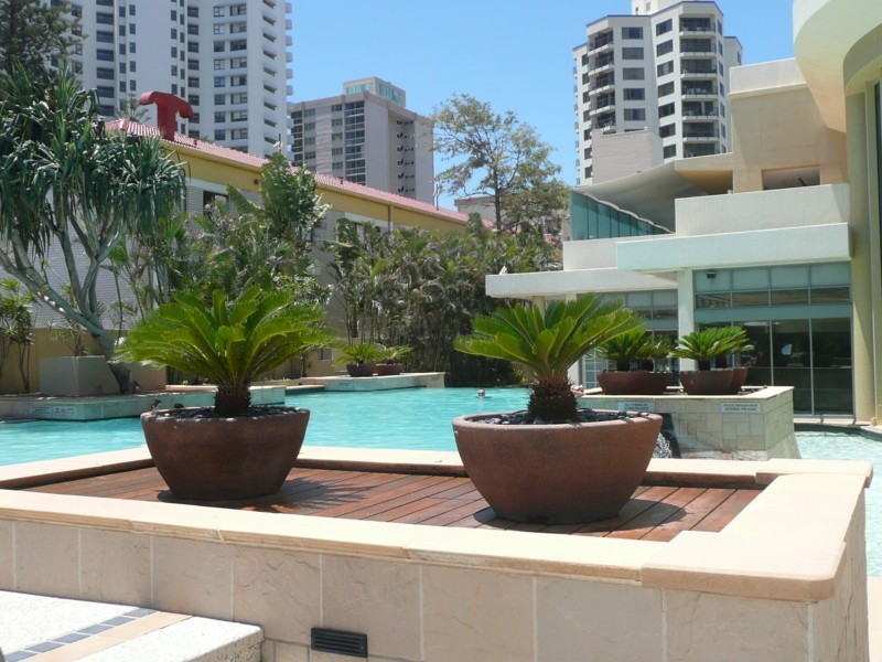 1405 and 1406/25 Laycock Street, Surfers Paradise QLD 4217