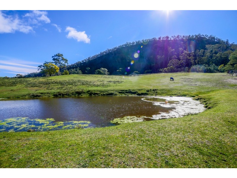 561 Cockatoo Gully Road, Elderslie TAS 7030