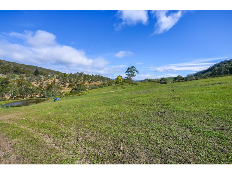 561 Cockatoo Gully Road, Elderslie TAS 7030