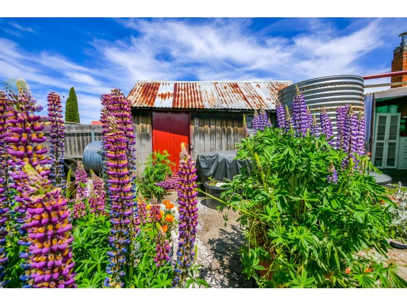 4 Dennistoun Road, Bothwell TAS 7030