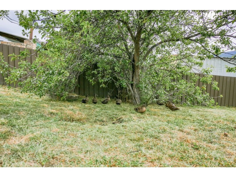 6 Curlew Parade, Claremont TAS 7011