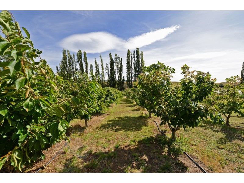 2925 Lyell Highway, Rosegarland TAS 7140