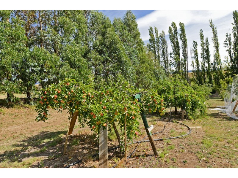 2925 Lyell Highway, Rosegarland TAS 7140