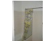 8/334 Park Street, New Town TAS 7008
