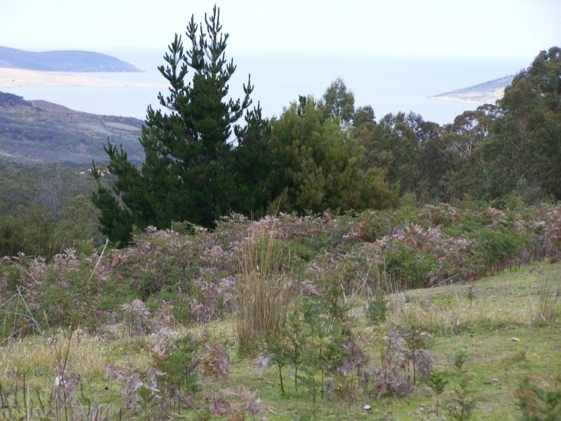 669 Dam Road, Nubeena TAS 7184