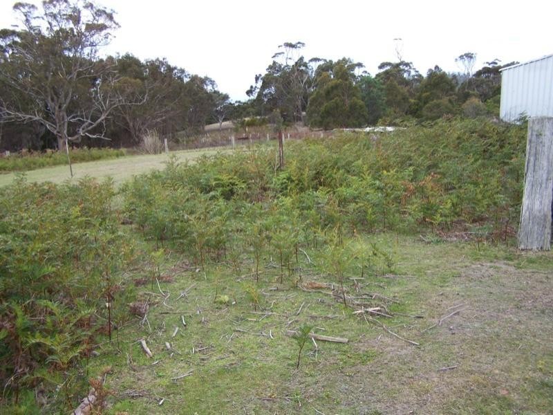 669 Dam Road, Nubeena TAS 7184