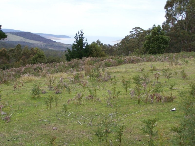 669 Dam Road, Nubeena TAS 7184