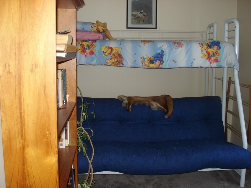 37 Sussex Street, Glenorchy TAS 7010