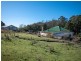 254 Collins Cap Road, Collinsvale TAS 7012