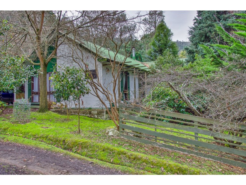 169 McKenzies Road, Molesworth TAS 7140