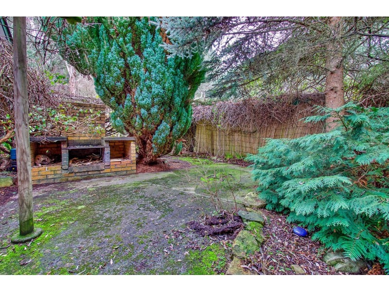 169 McKenzies Road, Molesworth TAS 7140