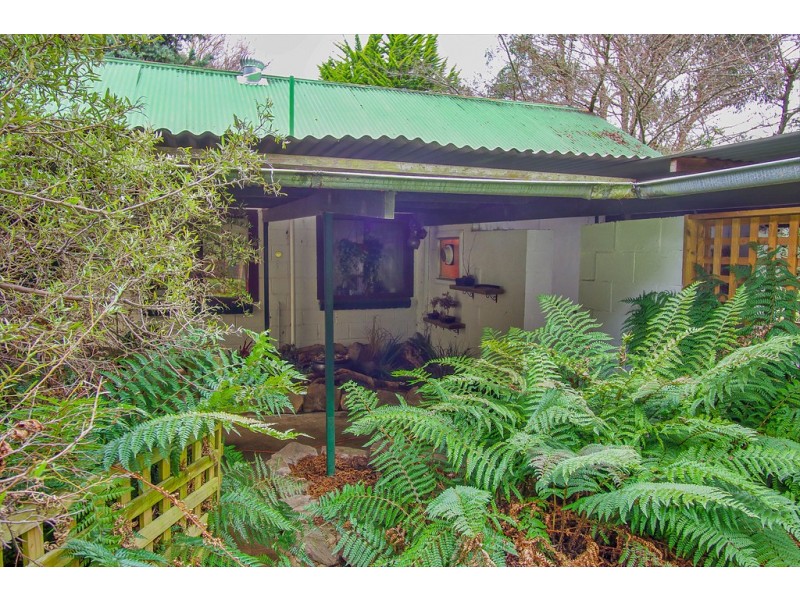 169 McKenzies Road, Molesworth TAS 7140