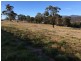 New Norfolk TAS 7140