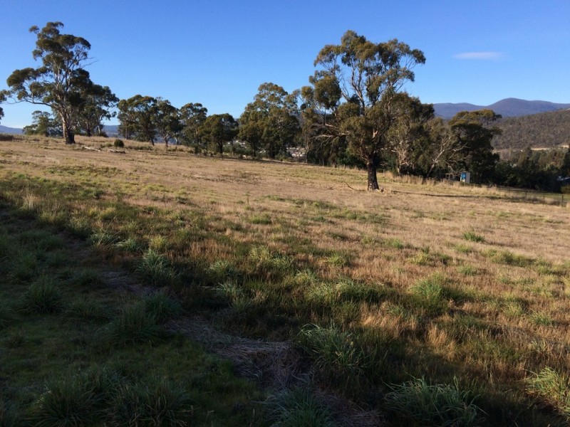 New Norfolk TAS 7140