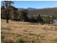 New Norfolk TAS 7140