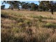 New Norfolk TAS 7140
