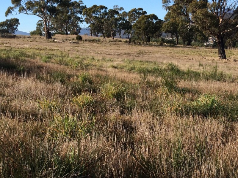 New Norfolk TAS 7140