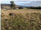 New Norfolk TAS 7140