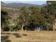 New Norfolk TAS 7140