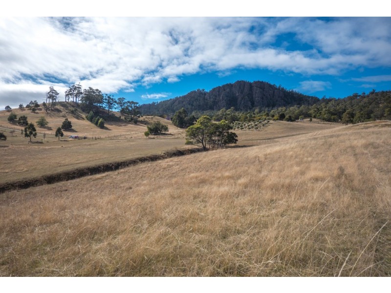 116 Gunners Quoin Road, Old Beach TAS 7017