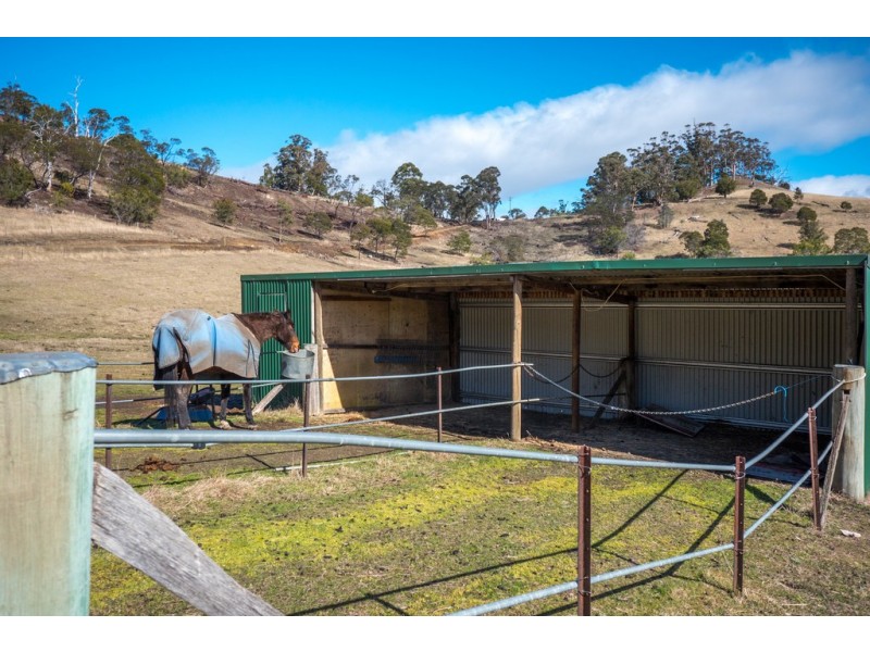 118 Gunners Quoin Road, Old Beach TAS 7017