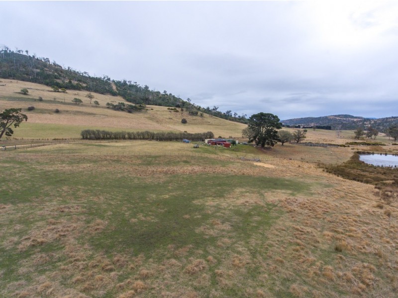 1304 Marked Tree Road, Hollow Tree TAS 7140