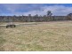 1304 Marked Tree Road, Hollow Tree TAS 7140