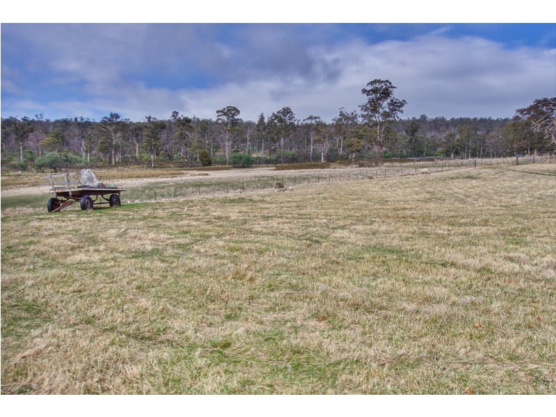 1304 Marked Tree Road, Hollow Tree TAS 7140