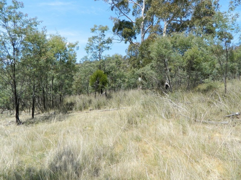 Lot 1 Church Road, Broadmarsh TAS 7030