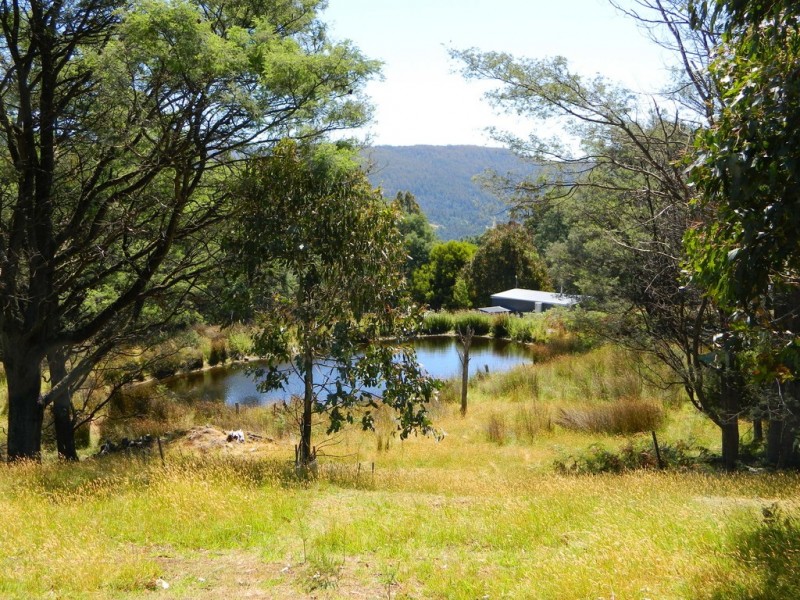 Lachlan TAS 7140