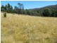 Lachlan TAS 7140
