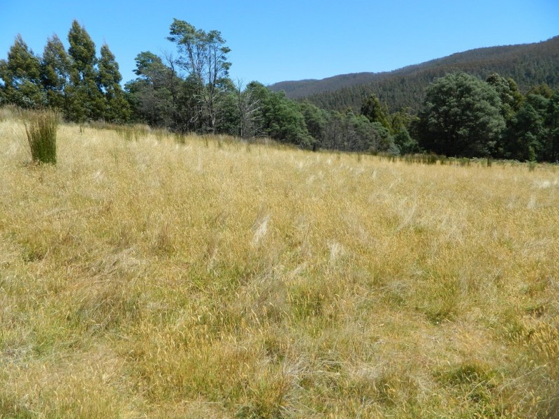 Lachlan TAS 7140