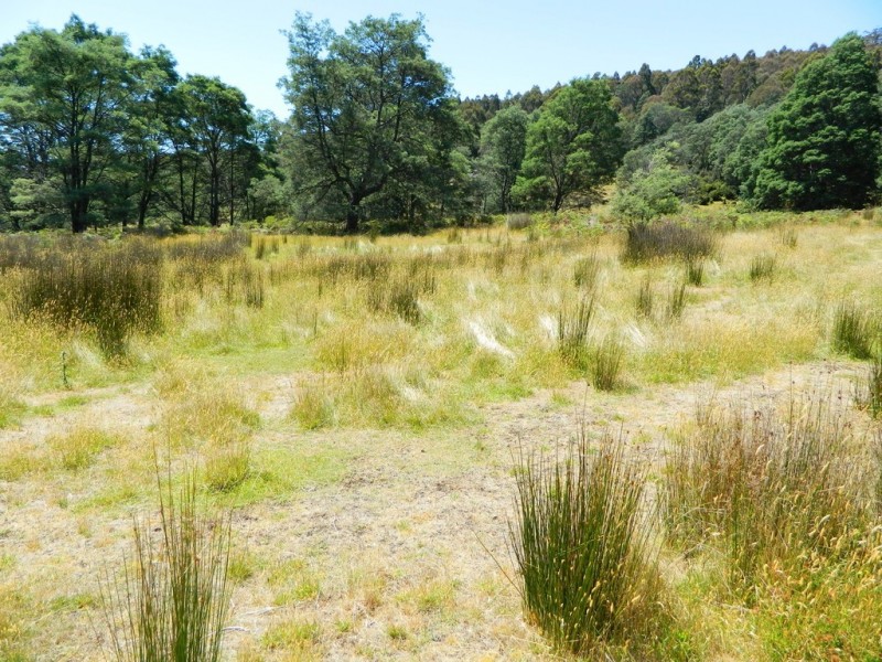 Lachlan TAS 7140